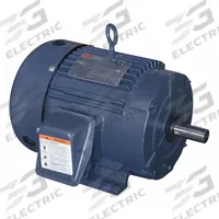 DAYTON General Purpose Motor: Rigid Base Mount, Totally Enclosed Fan Cooled, 5 hp, 230/460V AC (MPN 194146.00). Key specifications — Brand: DAYTON; Nameplate Voltage @ 60 Hz: 230/460V AC; Full Load Current @ 60 Hz: 12/6.0 A; Nameplate RPM @ 60 Hz: 3,500 RPM; Motor Enclosure: TEFC.