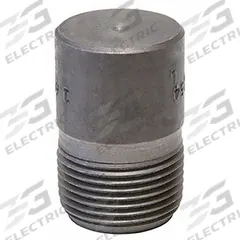 ANVIL Plug: 2 in, NPT Threaded, 2,000 psi @ 150° F, Steel, Plug (MPN 0361326200). Key specifications — Maximum Operating Pressure: 2,000 psi @ 150° F; (DO NOT SEND) Manufacturer Location: Globally Sourced.