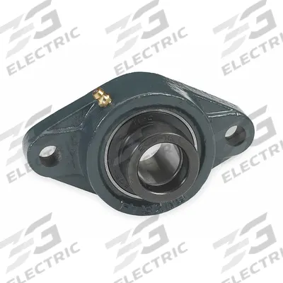 DAYTON 2 Bolt Flange Bearing: Radial Ball, 1 3/16 in Bore, Cast Iron, Eccentric Collar - General Purpose Flange-Mount Ball Bearings