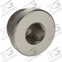 LEGRIS Plug: Hex Drive Cored Plug, 1 in, BSPP Threaded, Nickel-Plated Brass, 870 psi, 11/16 in Lg (MPN 0919 00 34). Key specifications — Brand: LEGRIS; Maximum Operating Pressure: 870 psi.