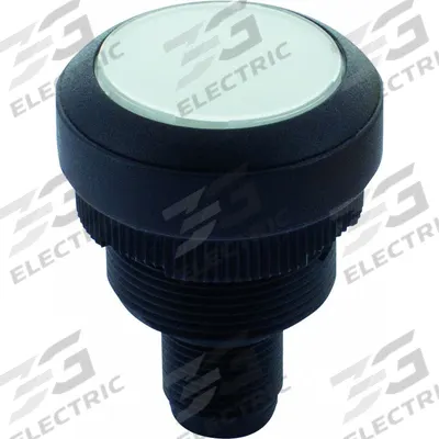 MURRELEKTRONIK Illuminated Push Button: Illuminated, Flush Profile, Non-Metallic, 22 mm - Illuminated Flush-Mount Push Buttons