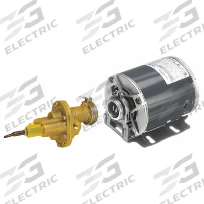Dayton Rotary Gear Pump: Direct Drive, 1/3 hp Horsepower, 115/230V AC, Bronze Body - Direct-Drive Rotary Gear Pumps