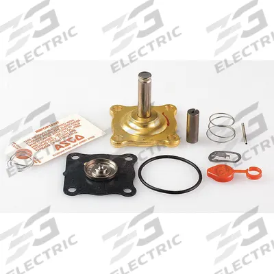 ASCO Valve Rebuild Kit (MPN 302305) - Repair Kits for Solenoid Valves
