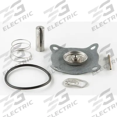 ASCO Valve Rebuild Kit (MPN 158811) - Repair Kits for Solenoid Valves
