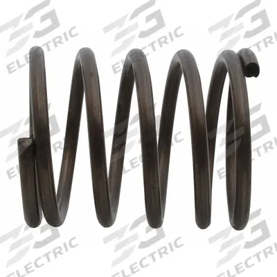 SPEEDAIRE Spring, trottle Valve: Mfr Part # TTM400005G - Air Tool Replacement Parts