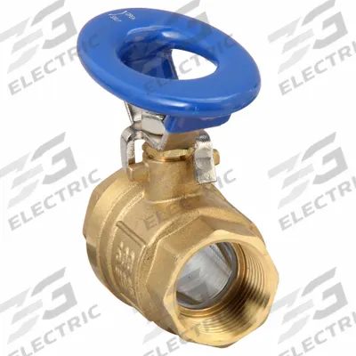 APPROVED VENDOR Manual Two-Way Ball Valve: 1 in, Brass, Straight, FNPT x FNPT - Brass Ball Valves