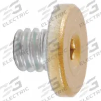 LCN Cover Screw (MPN 4040SE-31 BRASS). Key specifications — Manufacturer Part Number: 4040SE-31 BRASS; Brand: LCN; Compatible with Series: 4040SE; Product Type: Cover Screw.