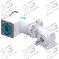 LEESON AC Gearmotor: Right Angle, Single Output Shaft, PSC, TEFC, 83 RPM, 75 in-lb Max Torque, 20:1 (MPN M1145142.00). Key specifications — Brand: LEESON; Full Load Current: 2.0/1.0 A.
