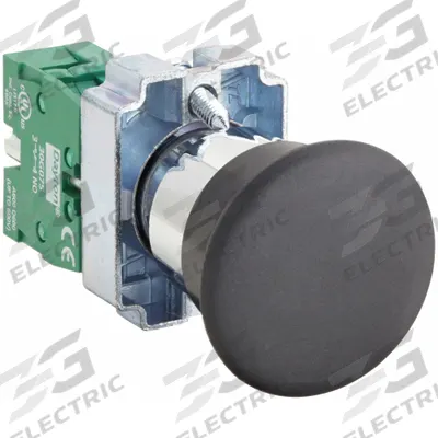 Dayton Mushroom Head Push Button: Non-Illuminated, Mushroom Head Profile, Metallic - Mushroom-Head Push Buttons