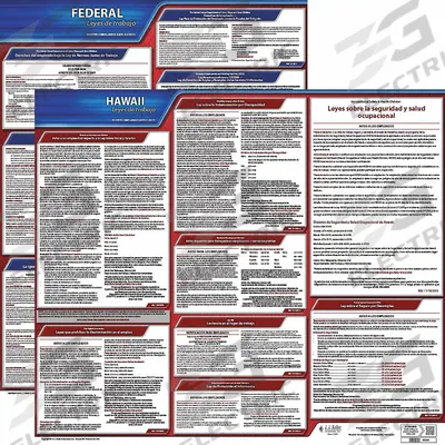 JJ KELLER Labor Law Poster: HI, Spanish, Plastic, 30 in x 24 in - State & Federal Labor Law Poster Sets