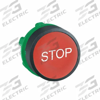 SCHNEIDER Flush Push Button: Red, 22 mm Mounting Size, Non-Metallic - Flush-Mount & Recessed Push-Button Operators