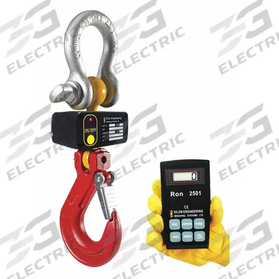 RON CRANE SCALES Crane Scale: 20,000 lb Wt Capacity - Imperial, +/-0.1% Accuracy, 10 lb