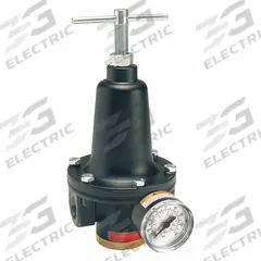 PARKER Compressed Air Regulator: Zinc, 1 1/2 in NPT, 500 cfm, 2 psi to 125 psi, Screwdriver (MPN R119-12CG/M2). Key specifications — attr111664: Yes; attr111400: R119; attr111627: PARKER.