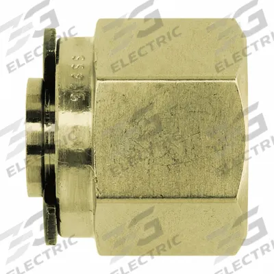 BRENNAN INDUSTRIES Compression Fitting Plug: 1/8 in OD Size, Tube - Clean & Bagged Double-Ferrule Brass Compression Fittings