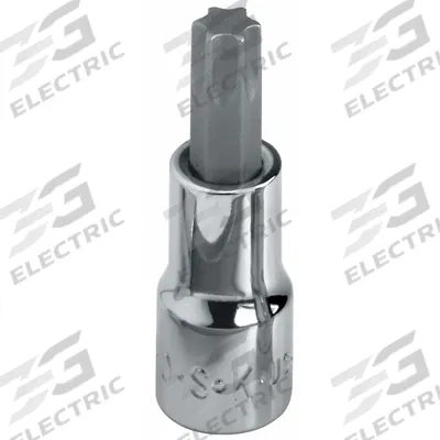 SK PROFESSIONAL TOOLS Socket Bit: 3/8 in Drive Size, Torx Tip, T45 Tip Size, 2 in Overall Lg - Torx Bit Sockets