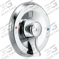 MOEN Valve Trim: Compatible Product Type Moen Valves, Circle Trim Plate, Brass, Chrome Finish (MPN 8370). Key specifications — Compatible Product Type: Moen Valves; Brand: MOEN; Trim Plate Material: Brass; Product Type: Shower Trim Kit; Trim Plate Shape: Circle; Trim Finish/Color: Chrome.