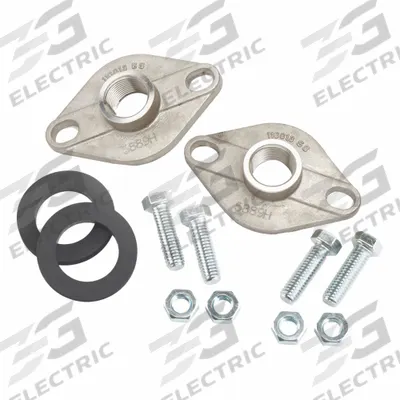 ARMSTRONG Flange Kit: 3/4 in, 816013-721K, 3/4 in NPT, Flange - Standard Flanges