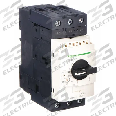 SCHNEIDER Manual Motor Starter: Non-Reversing, 3 Poles, 65 A, Thermal Protection - Non-Reversing Starters with Thermal Overloads