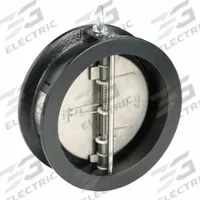 KECKLEY Check Valve: Double Disc, Inline Valve Body, 5 in Pipe Size, Wafer, Cast Iron, Wafer, Wafer (MPN DD1F-CI-34136-500). Key specifications — Brand: KECKLEY.