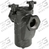 MUELLER STEAM SPECIALTY Basket Strainer: Cast Iron, 0.062 in Screen Size, Single, NPT, 1/2 in (MPN 11/4 125 CI Iron body screwed). Key specifications — Brand: MUELLER STEAM SPECIALTY; Compatible Product Type: Water; Gasket Material: Buna-N; Screen Material: 304 Stainless Steel.