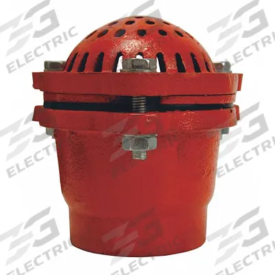DIXON VALVE & COUPLING Foot Valve: Cast Iron, 6 in Pipe Size, Pumps - Foot Valves