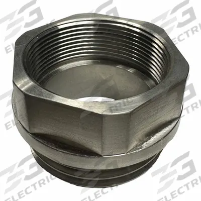 ACTION PUMP Bung Adapter: Bung Adapter, 316 Stainless Steel, 2 1/2 in - Bung Adapters