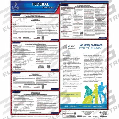 JJ KELLER Labor Law poster: English, Polypropylene, 20 in x 24 in, FMLA /N - All-in-One State & Federal Labor Law Posters