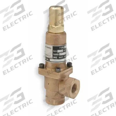 CASH VALVE Adjustable Back Pressure Relief Valve: FNPT x FNPT, 1/2 in x 1/2 in - Non-Code Air, Inert Gas & Liquids Pressure Relief Valves