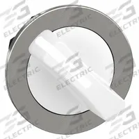 SCHNEIDER ELECTRIC Short-Handled Selector Switch: 30 mm Panel Mount Size, 2 Positions, Series XB4 (MPN ZB4FD201). Key specifications — Action: Maintained/Maintained; Cam: No Cam Included; Brand: SCHNEIDER; Switch Bezel Material Type: Metallic.
