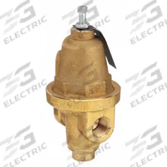 CASH VALVE Pressure Regulator: FNPT x FNPT, 1/2 in x 1/2 in, Brass, 100 psi to 250 psi, 180°F (MPN A360CWSZSNBS01-E6-0175). Key specifications — Brand: CASH VALVE.