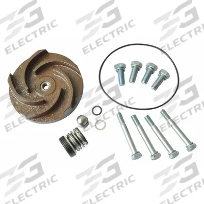 Dayton Repair Kit: Mfr Part # 21TG43 - Seal Kits & Gaskets for Straight Centrifugal Pumps