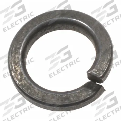 DAYTON Washer, Lock: For 3TP95G/3TP96 - GGS Material Handling Parts