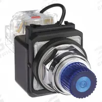 DAYTON Pilot Light: 30 mm Panel Mounting Size, Blue, LED, 24 V AC/DC Max Volt Rating (Supply) (MPN 30G409). Key specifications — Series: Dayton; Brand: DAYTON; Includes Push-To-Test: Push-To-Test Included.