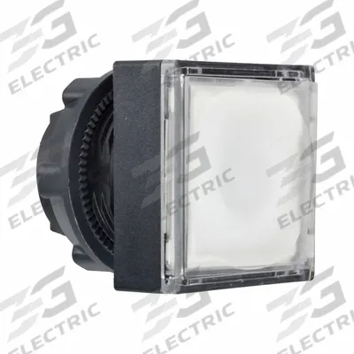 SCHNEIDER Flush Push Button: 22 mm Mounting Size, Non-Metallic - Illuminated Flush-Mount Push-Button Operators