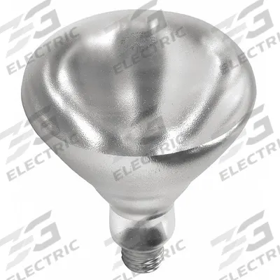 SHAT-R-SHIELD Incandescent Bulb: Incandescent, R40, Medium Screw (E26), 250 W Watt, 2700K - Reflector Heat Lamps