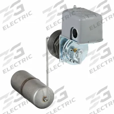 HOFFMAN Float Switch: Float Switch - Float Switches for Condensate Return Pumps