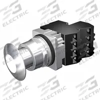 SIEMENS Mushroom Head Push Button: Illuminated, Mushroom Head Profile, Metallic, 30 mm, 2NC (MPN 52PP2DBGB). Key specifications — Brand: SIEMENS; Action: Maintained; Series: Class 52; Terminal Connection: Pressure Plate; Push Button Material Type: Metallic.