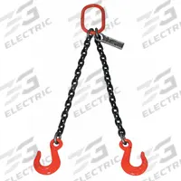 LIFT-ALL Double Leg Chain Sling: 3/8 in Chain Trade Size, 100 Chain Grade, Sling Hook, Alloy Steel (MPN 38DOSW10X12). Key specifications — attr994064: LIFT-ALL.