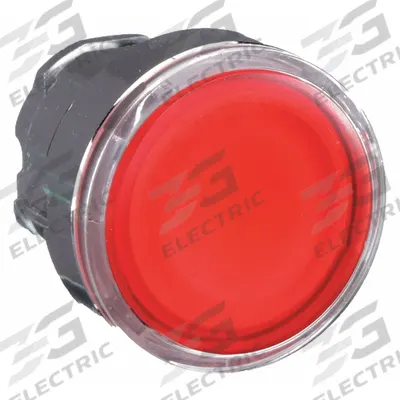 SCHNEIDER Flush Push Button: Red, 22 mm Mounting Size, Metallic - Illuminated Flush-Mount Push-Button Operators
