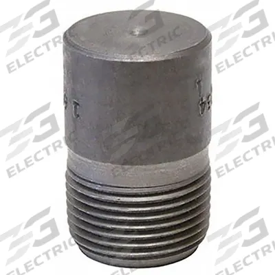 ANVIL Plug: 1/4 in, NPT Threaded, 2,000 psi @ 150° F, Steel - Threaded High-Pressure Pipe Fittings
