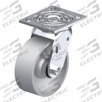 APPROVED VENDOR Plate Caster: Swivel, No Brake, Iron, 5 in Wheel Dia, 2 in Wheel Wd, Slot, Rectangle (MPN P21S-D050R-14). Key specifications — Wheel Bearing Type: Roller; Brand: APPROVED VENDOR; Caster Type: Swivel.