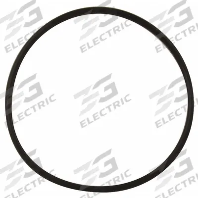FLINT & WALLING Gasket: For Booster Pump - Seal Kits & Gaskets for Booster Pumps