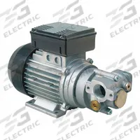 PIUSI Flowmat: Direct Drive, 3/4 hp Horsepower, 230V AC, Aluminum Body, Steel Gear, 1" FNPT, 2 gpm (MPN F0030201D). Key specifications — Brand: PIUSI; Gear Material: Steel; Ports: 1" FNPT.