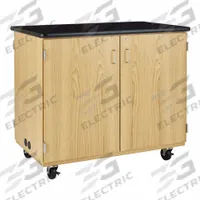 Mobile Charging Station: 42 1/2 in Overall Ht, 30 in Overall Dp, 4 ft Overall Wd, Wood, 0 Drawers (MPN 4741K). Key specifications — Product Type: Mobile Microscope Charging Cabinet; Brand: DIVERSIFIED SPACES; Material: Wood; Cabinet Type: Mobile Cabinets.
