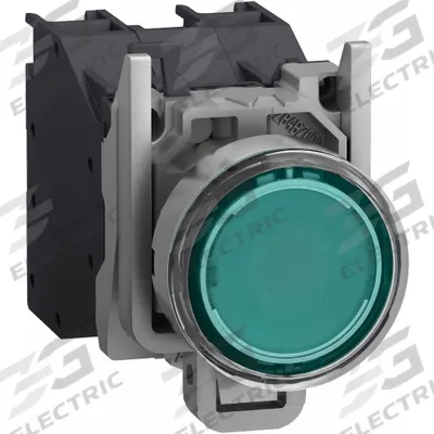 SCHNEIDER Illuminated Push Button: 22 mm, Metallic, Flush Profile - Illuminated Flush-Mount Push Buttons