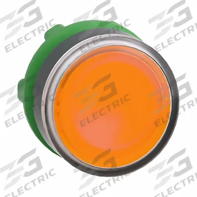 SCHNEIDER Flush Push Button: 22 mm Mounting Size, Non-Metallic - Illuminated Flush-Mount Push-Button Operators
