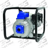 IPT PUMPS Engine Driven Pump: 5 hp, 2 in MNPT, 2 in MNPT, 220 gpm Flow Rate @ 20 Ft. of Head, Honda (MPN 2S5XHR). Key specifications — Volute Material: Cast Iron; Ignition Type: Recoil-Start; Brand: IPT PUMPS; Kit Components: Strainer.