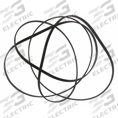 ELECTROLUX Drive Belt: 131553800 - Electrolux Washing Machine & Dryer Parts