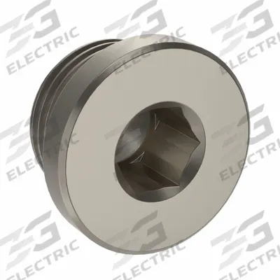 LEGRIS Plug: Hex Drive Cored Plug, 1/2 in, BSPP Threaded, Nickel-Plated Brass - Threaded Medium-Pressure Pipe Fittings