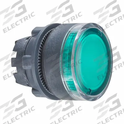 SCHNEIDER Flush Push Button: Green, 22 mm Mounting Size, Non-Metallic - Illuminated Flush-Mount Push-Button Operators